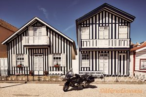Liberdade com conforto - Espinho Magazine