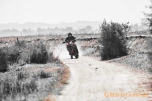 BMW F 900 XR - Espinho Magazine