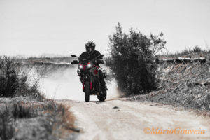 BMW F 900 XR - Espinho Magazine